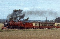 Tour train photo